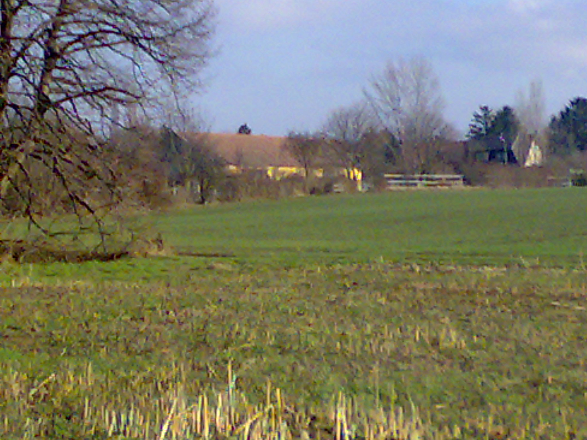 Reitverein Zwölfaxing